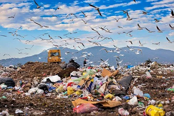 Landfills Image