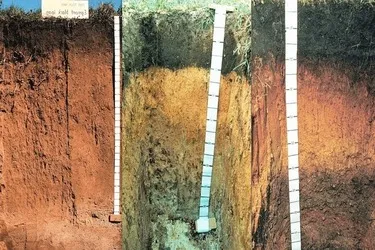 Clasificación del Suelo