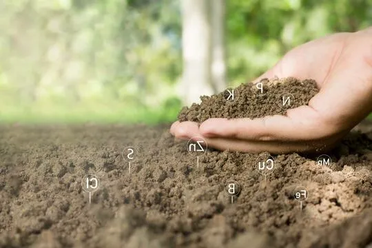 Composición del Suelo