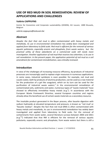 Más sobre Uso de Lodo Rojo en la Remediación de Suelos: Revisión de Aplicaciones y Desafíos